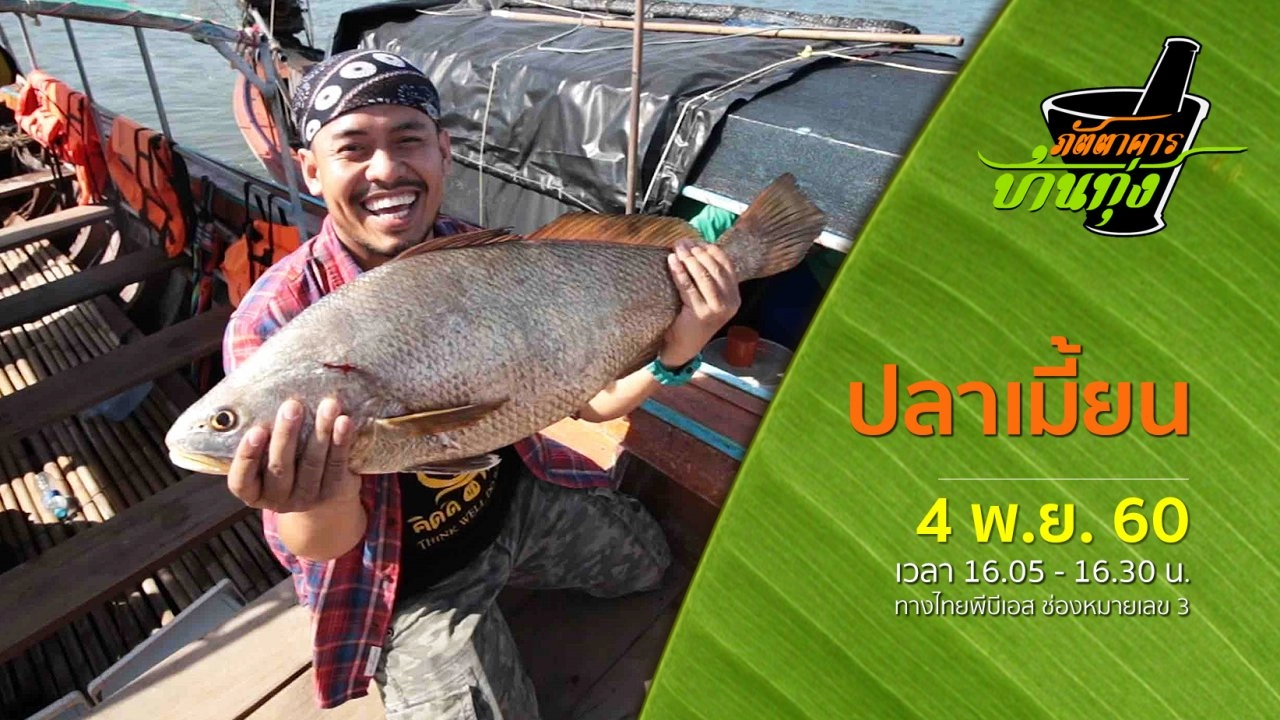 ปลาเมี้ยน