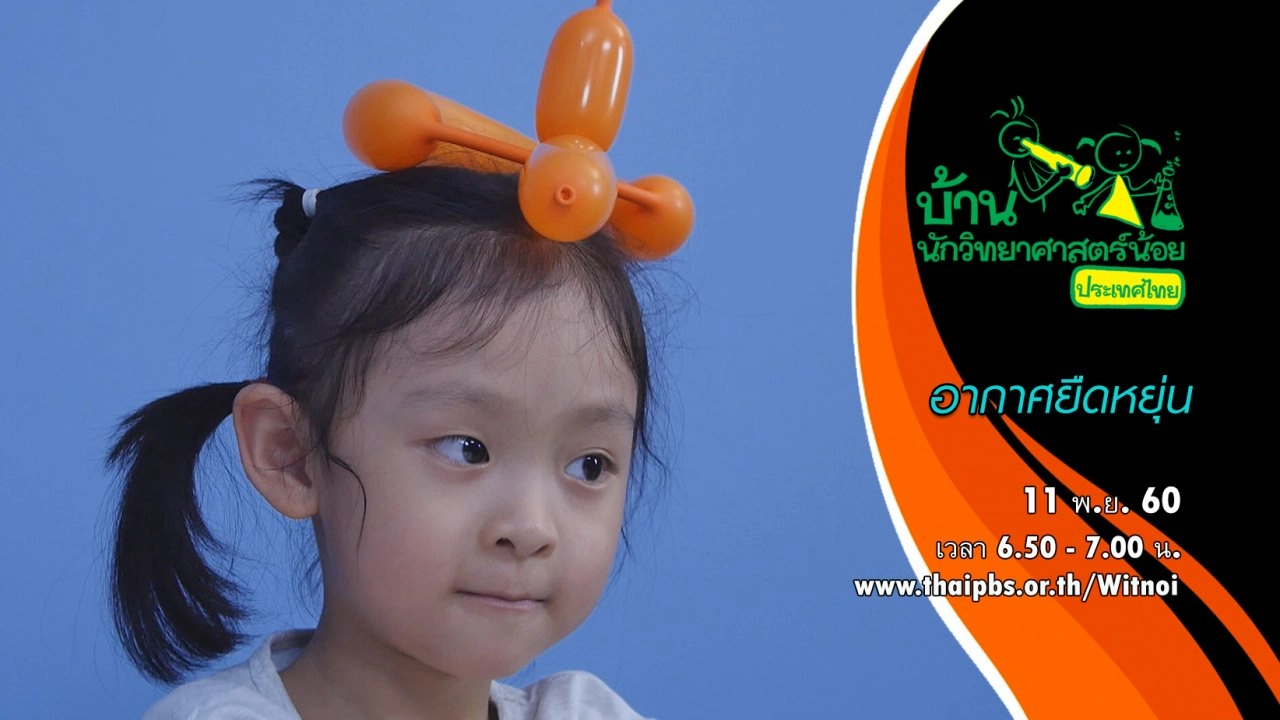 อากาศยืดหยุ่น