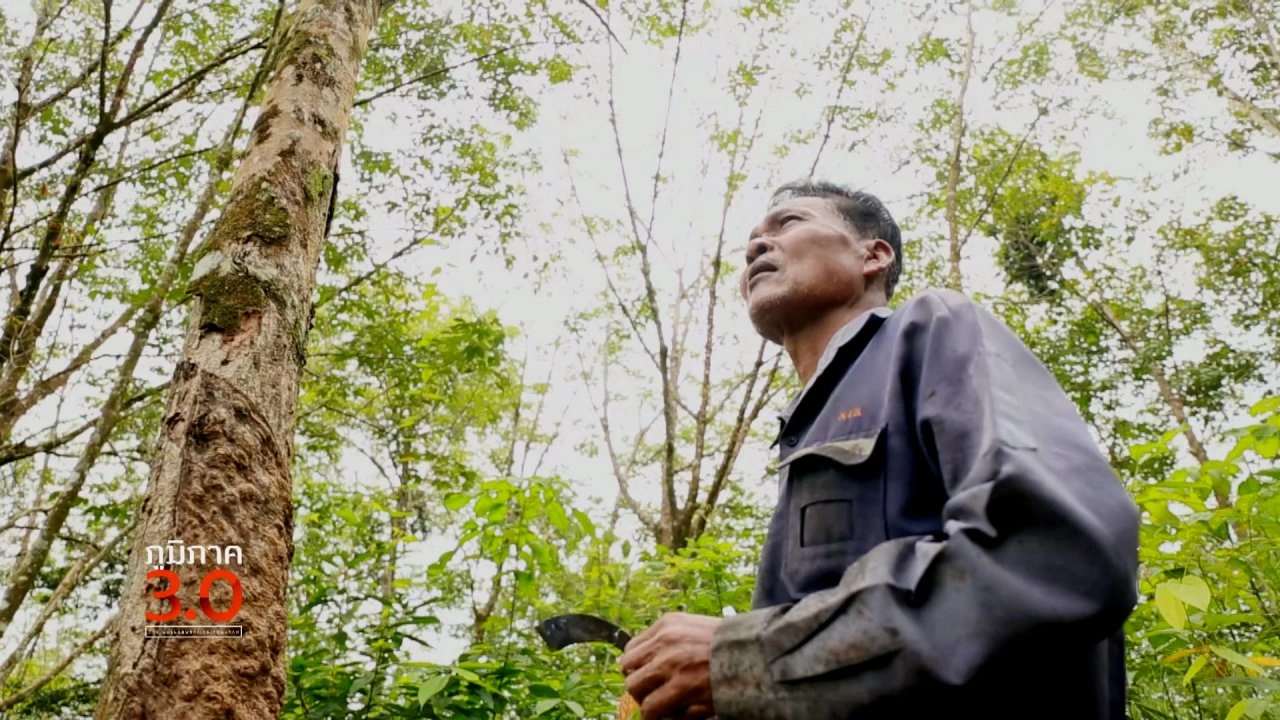 ทุ่งหน่วงน้ำบางระกำ, ป่าดงหนองเอียด, ชีวิตใหม่ที่กือลอง