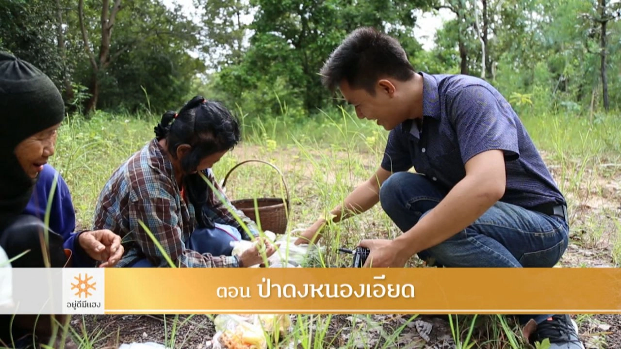 ป่าดงหนองเอียด​