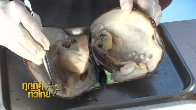 ประเด็นข่าว (10 พ.ย. 60)