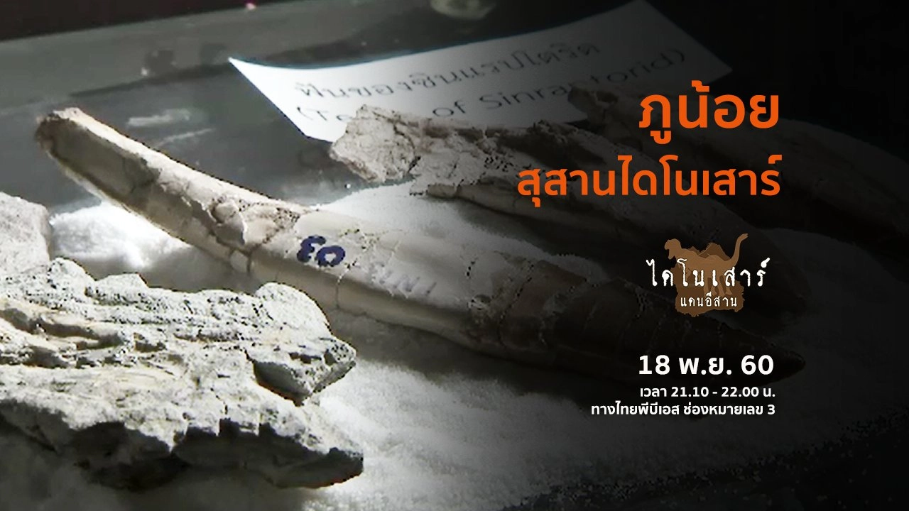 ภูน้อย สุสานไดโนเสาร์