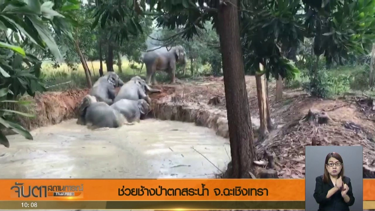 ประเด็นข่าว (13 พ.ย. 60)