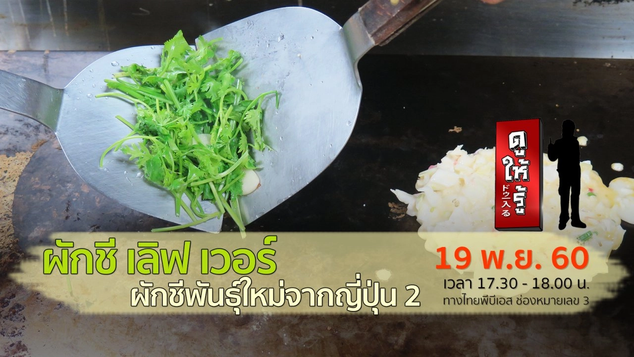 ผักชี เลิฟ เวอร์ ผักชีพันธุ์ใหม่จากญี่ปุ่น ตอนที่ 2