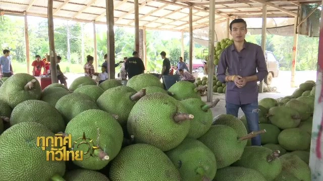 ประเด็นข่าว (17 พ.ย. 60)