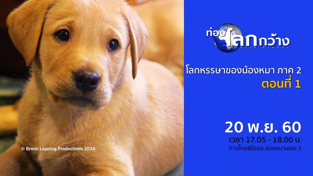 โลกหรรษาของน้องหมา ภาค 2  ตอนที่ 1