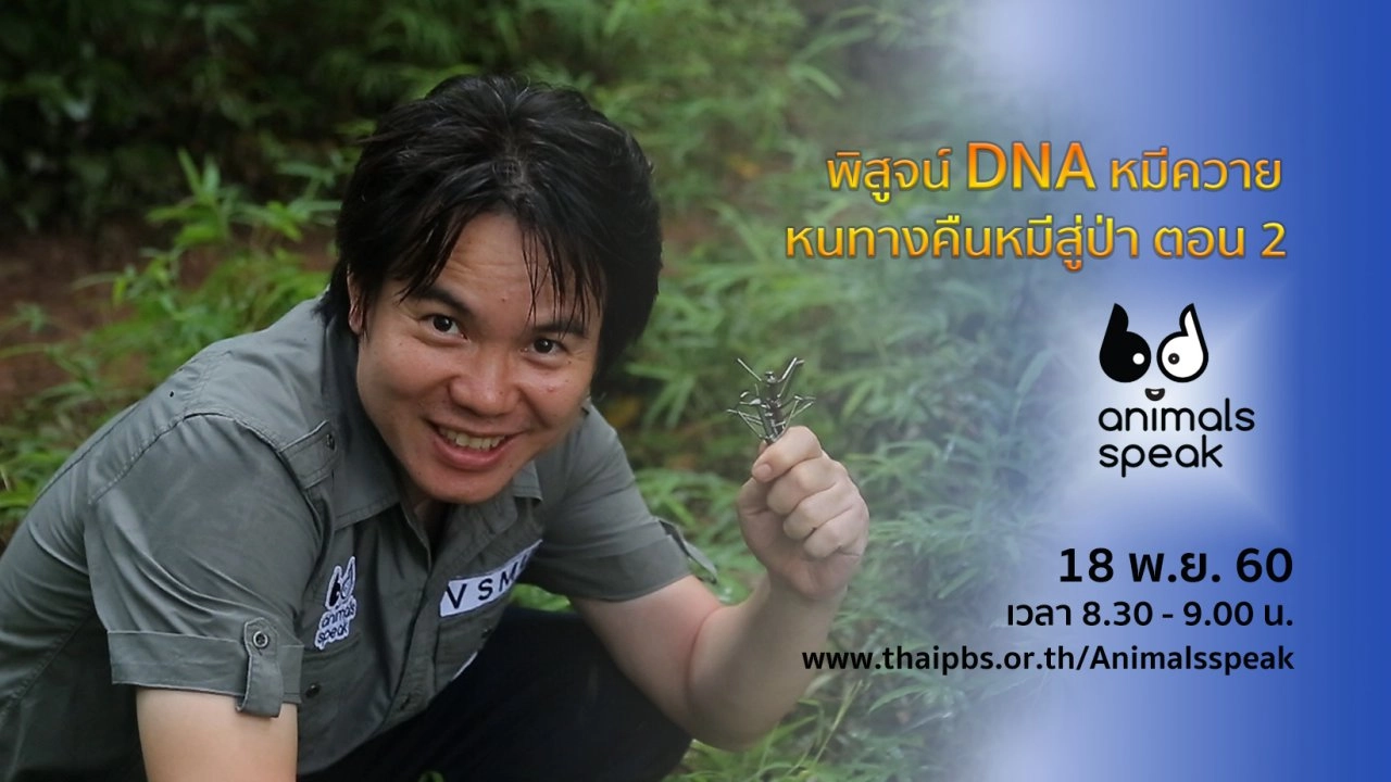 พิสูจน์ DNA หมีควาย หนทางคืนหมีสู่ป่า ตอน 2