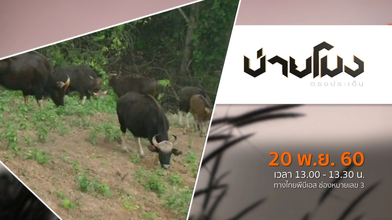 ประเด็นข่าว ( 20 พ.ย. 60)