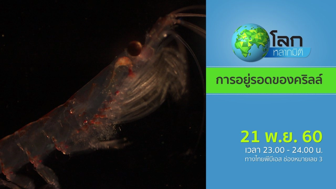 การอยู่รอดของคริลล์