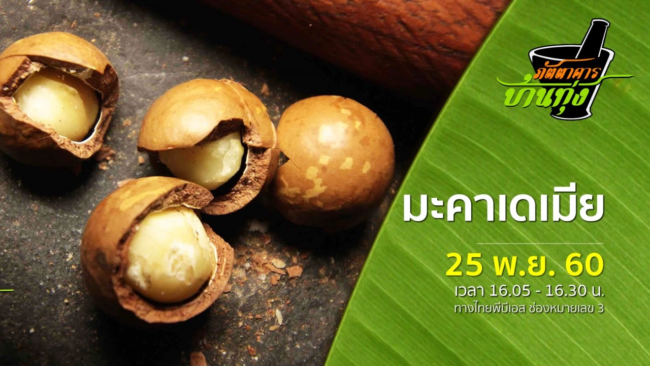 มะคาเดเมีย