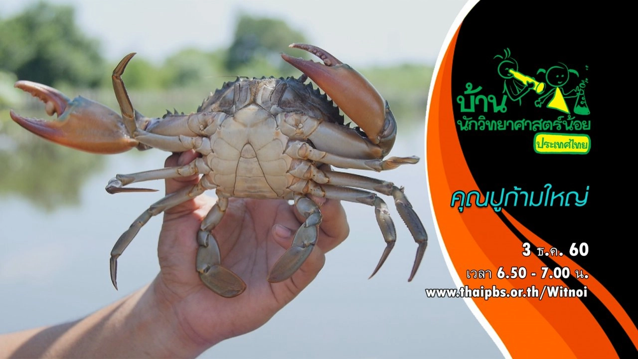 คุณปูก้ามใหญ่