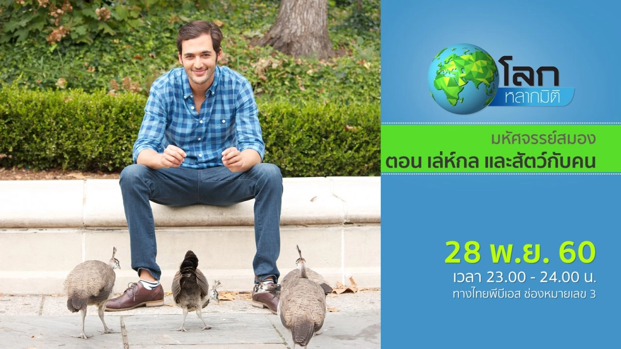 มหัศจรรย์สมอง ตอน เล่ห์กล และสัตว์กับคน