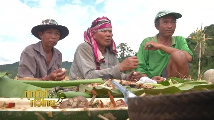 ทุกทิศทั่วไทย