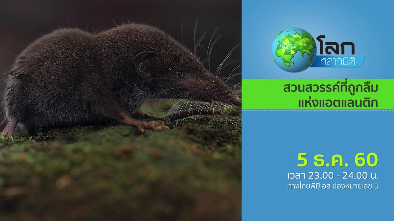 สวนสวรรค์ที่ถูกลืมแห่งแอตแลนติก