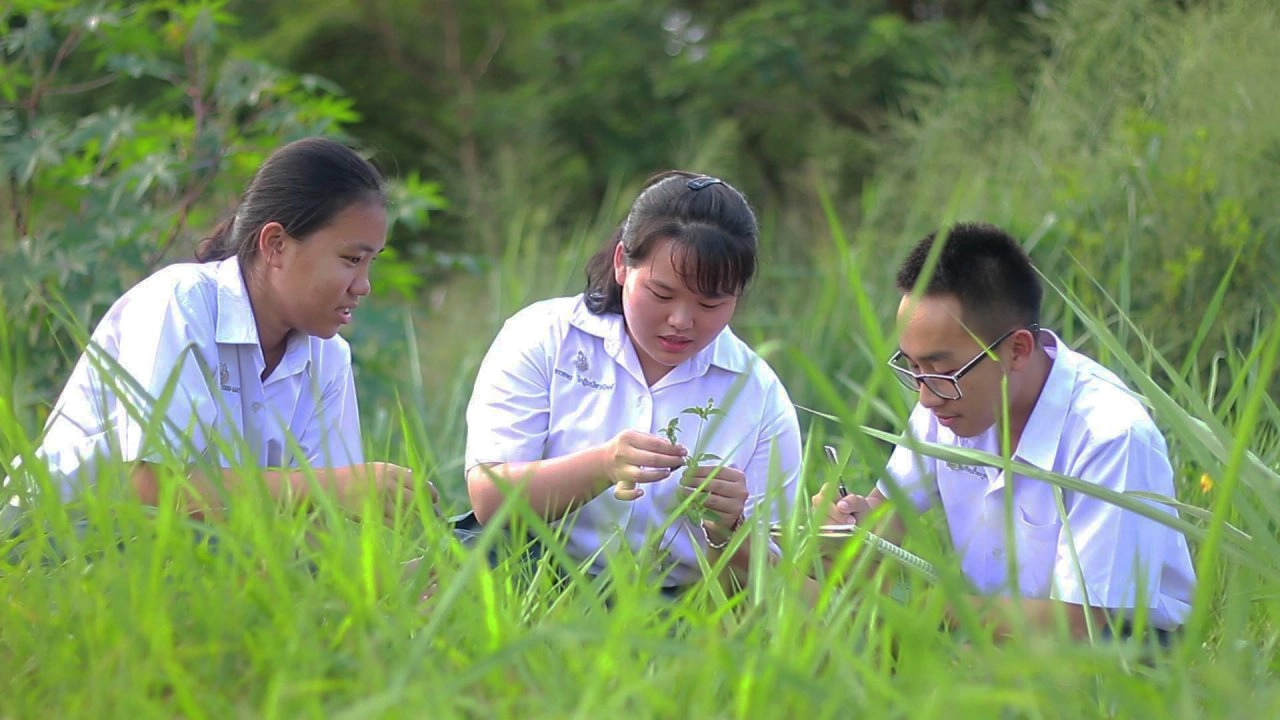 พลังเด็ก ระดับโลก