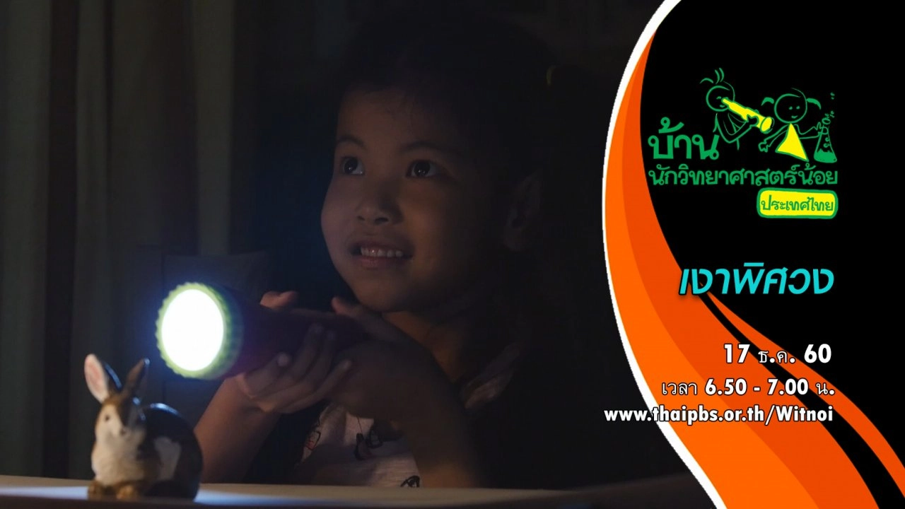 เงาพิศวง