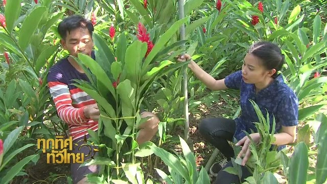 ประเด็นข่าว (15 ธ.ค. 60)