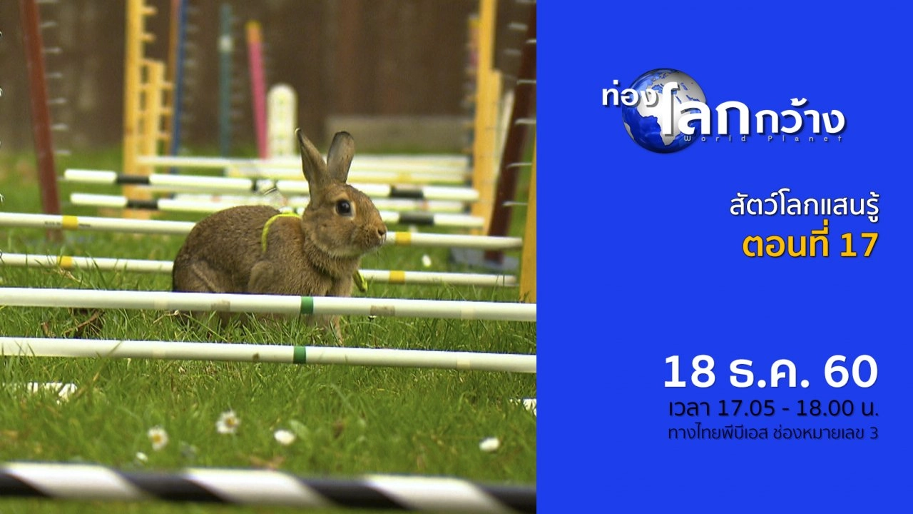 สัตว์โลกแสนรู้ ตอนที่ 17