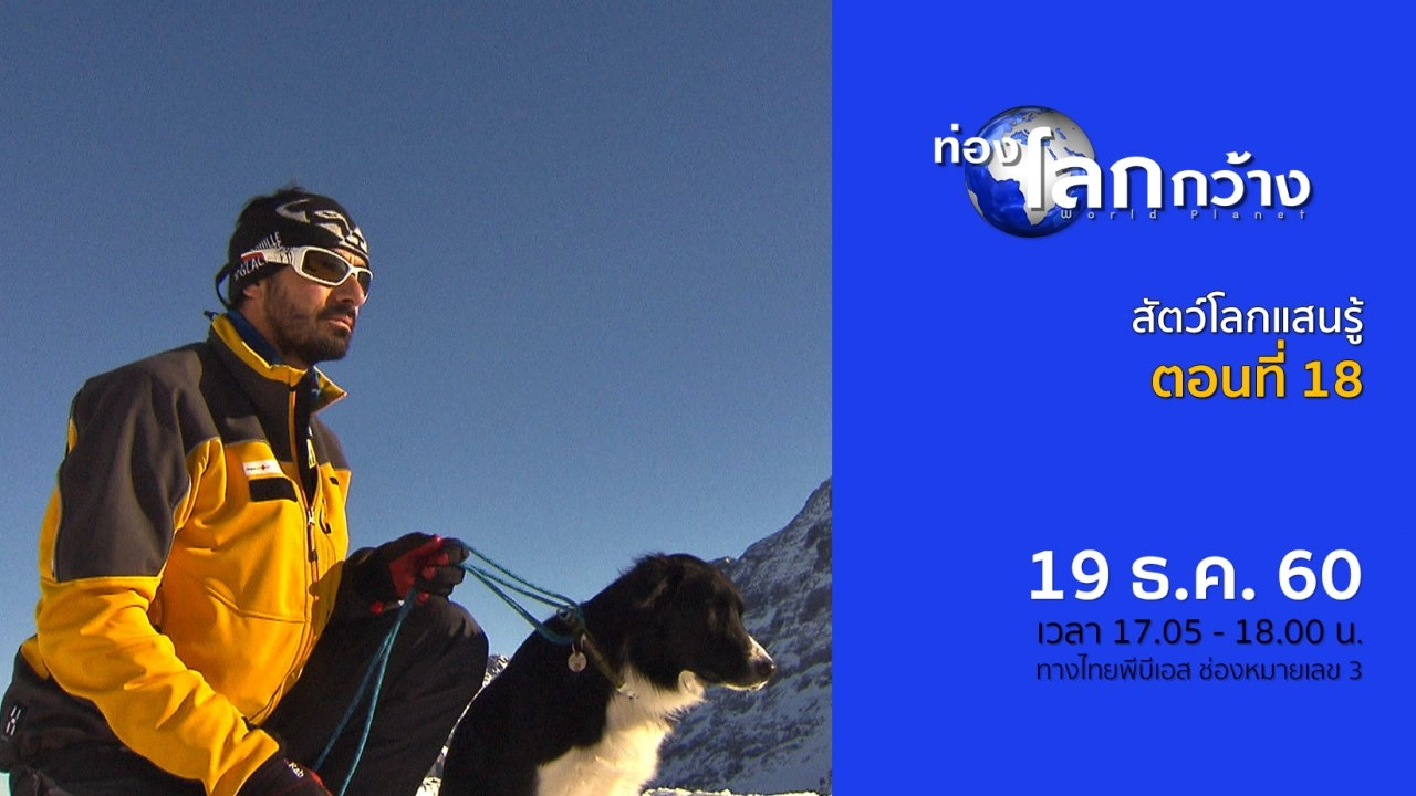 สัตว์โลกแสนรู้ ตอนที่ 18