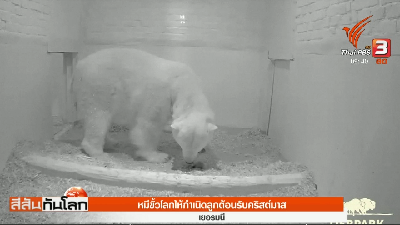 ประเด็นข่าว (16 ธ.ค. 60)