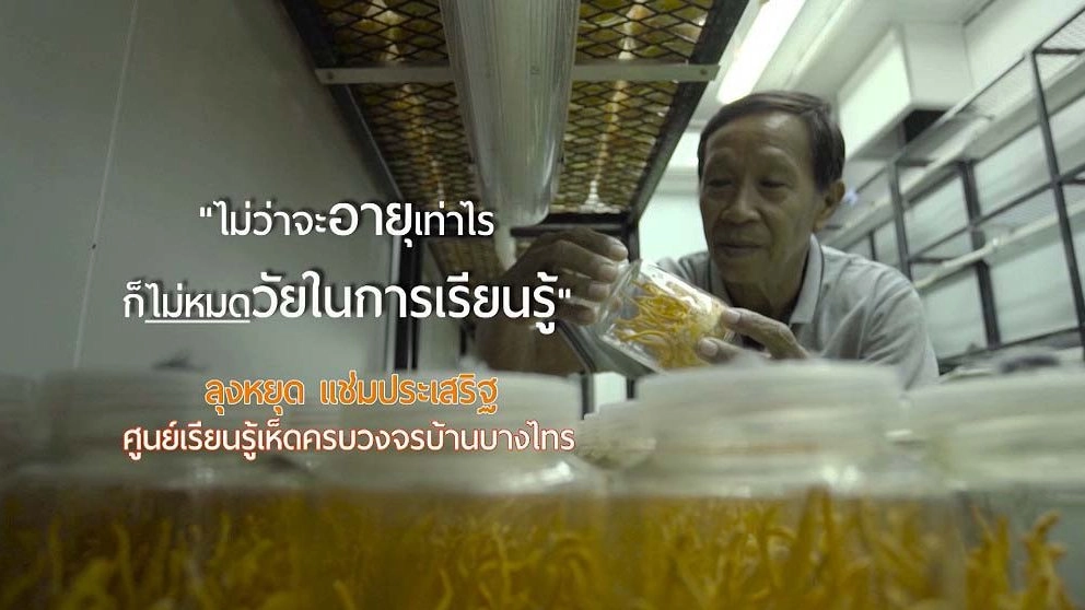 ลุงหยุดเห็ดเงินล้าน / ภูมิปัญญามะพร้าวไทยโกอินเตอร์