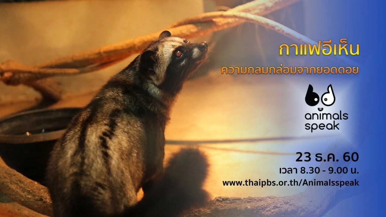 กาแฟอีเห็น...ความกลมกล่อมจากยอดดอย