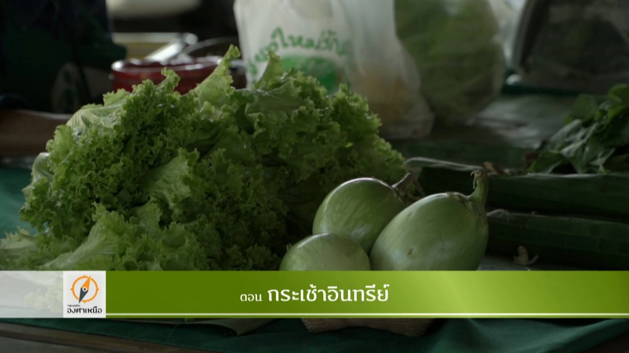 กระเช้าอินทรีย์​