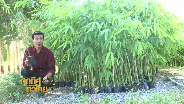 ประเด็นข่าว (29 ธ.ค. 60)