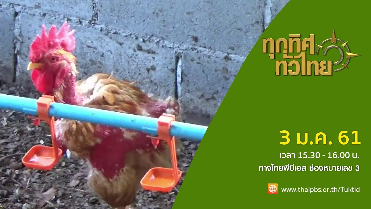 ประเด็นข่าว (3 ม.ค. 61)