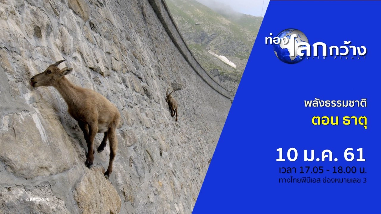 พลังธรรมชาติ ตอน ธาตุ