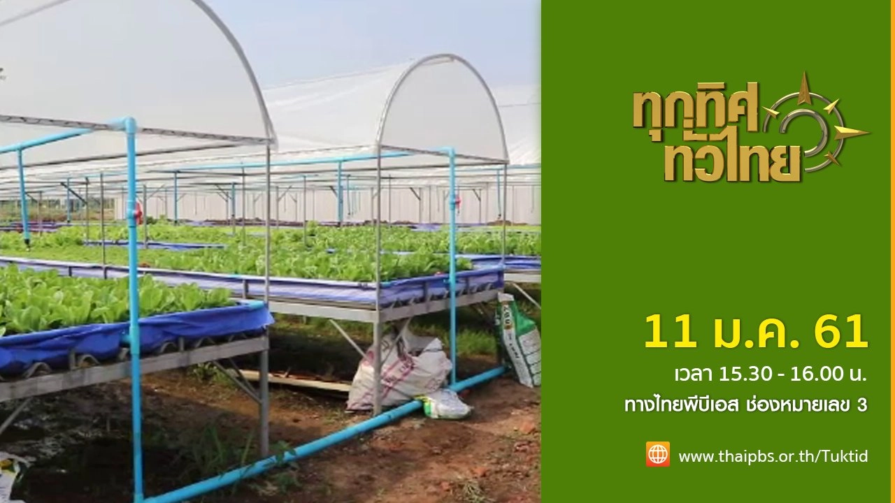 ประเด็นข่าว (11 ม.ค. 61)