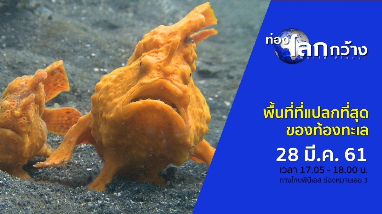 พื้นที่ที่แปลกที่สุดของท้องทะเล