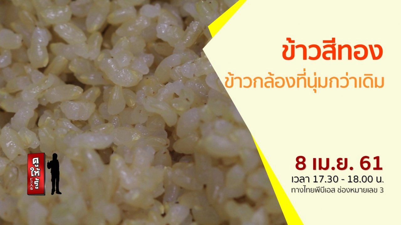 ข้าวสีทอง ข้าวกล้องที่นุ่มกว่าเดิม
