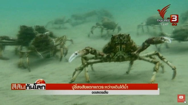 ประเด็นข่าว (14 เม.ย. 61)