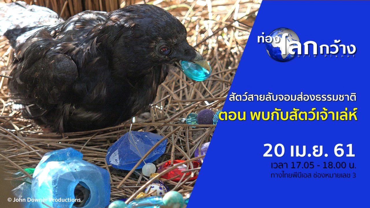 สัตว์สายลับจอมส่องธรรมชาติ ตอน พบกับสัตว์เจ้าเล่ห์