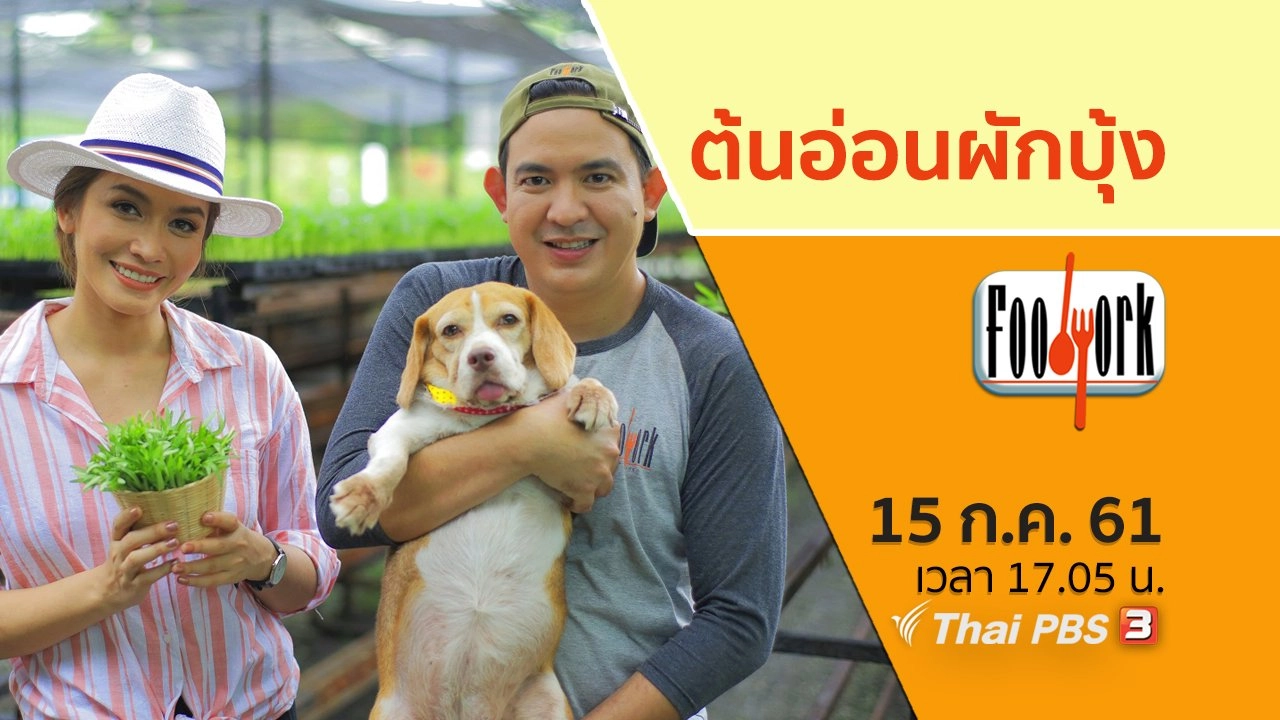 ต้นอ่อนผักบุ้ง