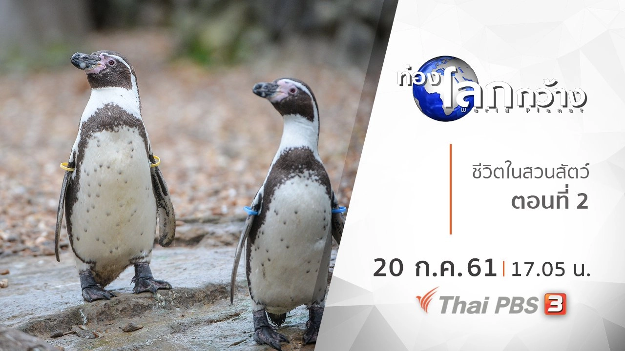 ชีวิตในสวนสัตว์ ตอนที่ 2