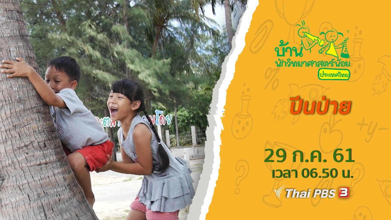 ปีนป่าย