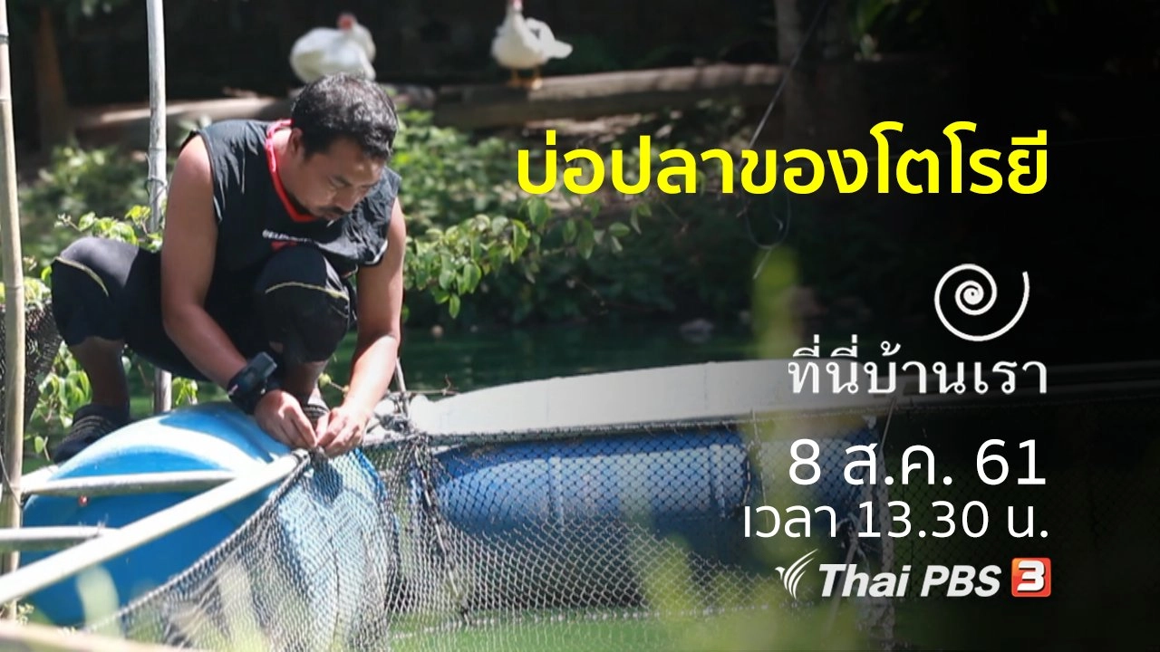 บ่อปลาของโตโรยี