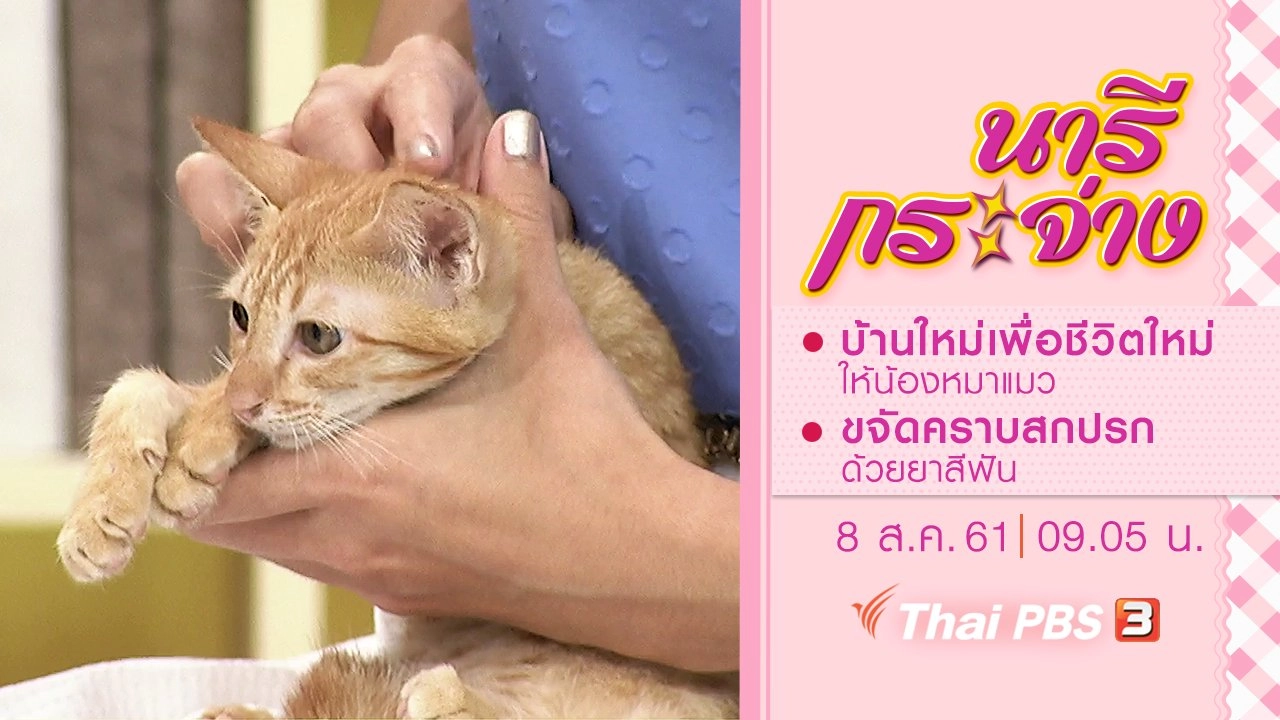 หาบ้านใหม่เพื่อชีวิตใหม่ให้น้องหมาแมว, ขจัดคราบสกปรกด้วยยาสีฟัน