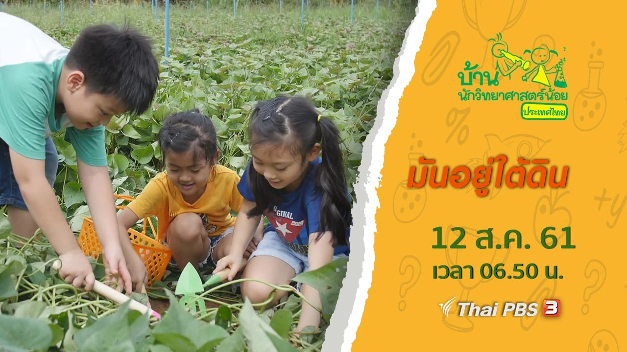 มันอยู่ใต้ดิน