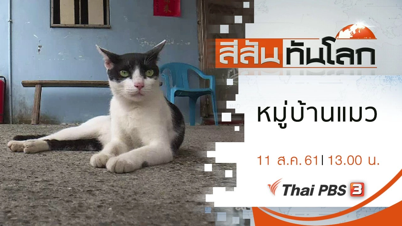 ประเด็นข่าว (11 ส.ค. 61)