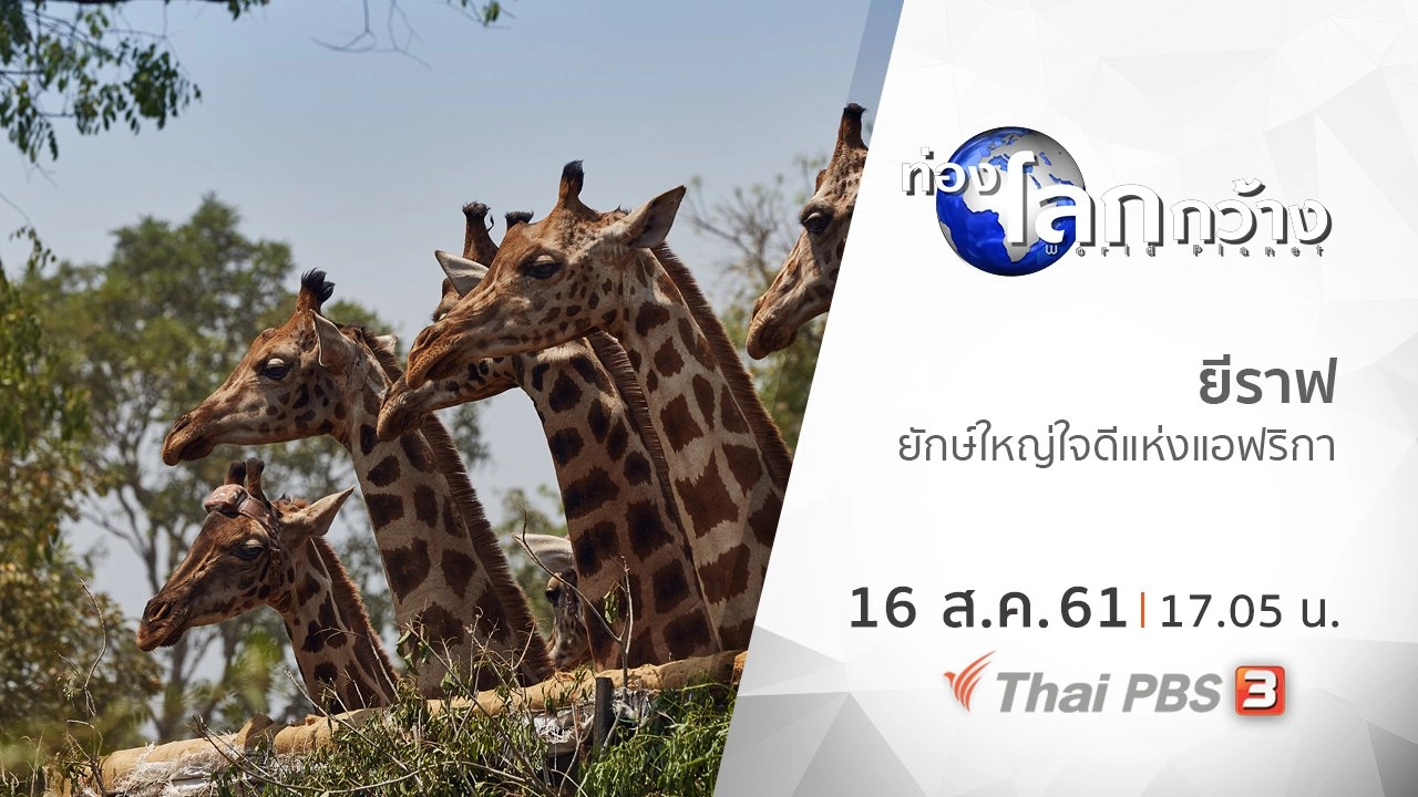 ยีราฟ ยักษ์ใหญ่ใจดีแห่งแอฟริกา