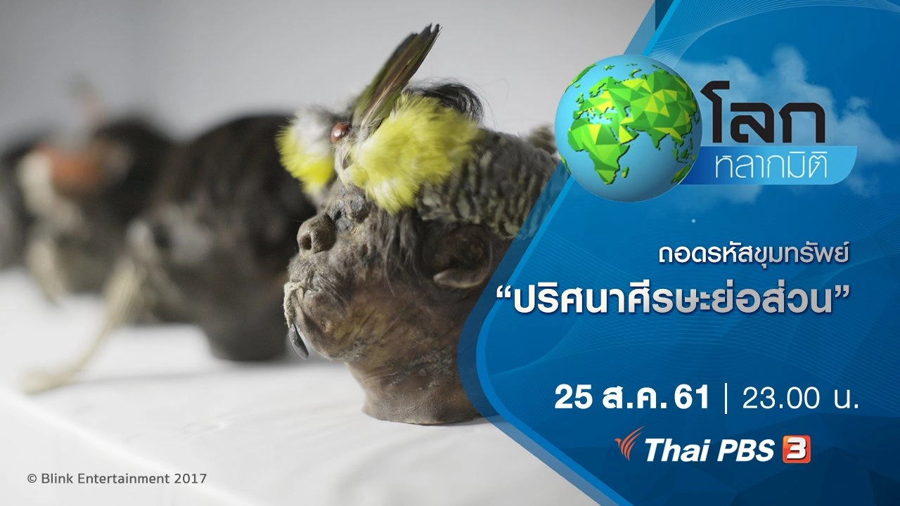 ถอดรหัสขุมทรัพย์ ตอน ปริศนาศีรษะย่อส่วน