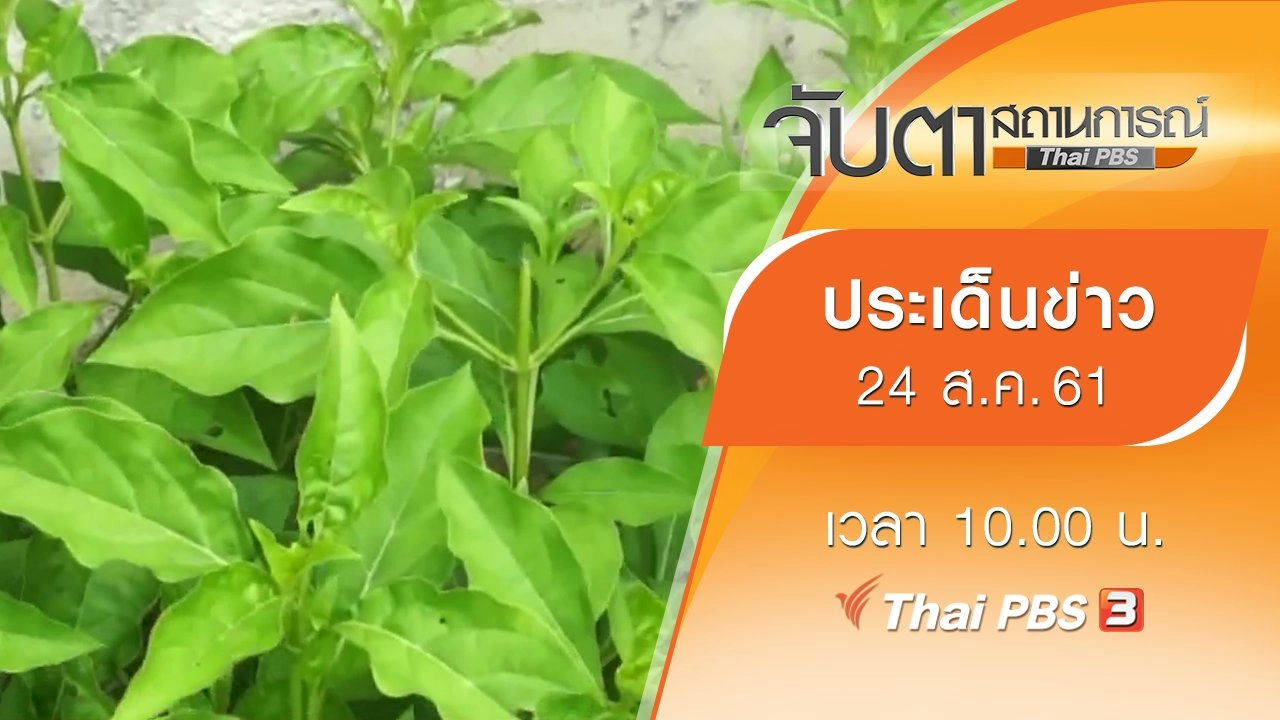 ประเด็นข่าว (24 ส.ค. 61)