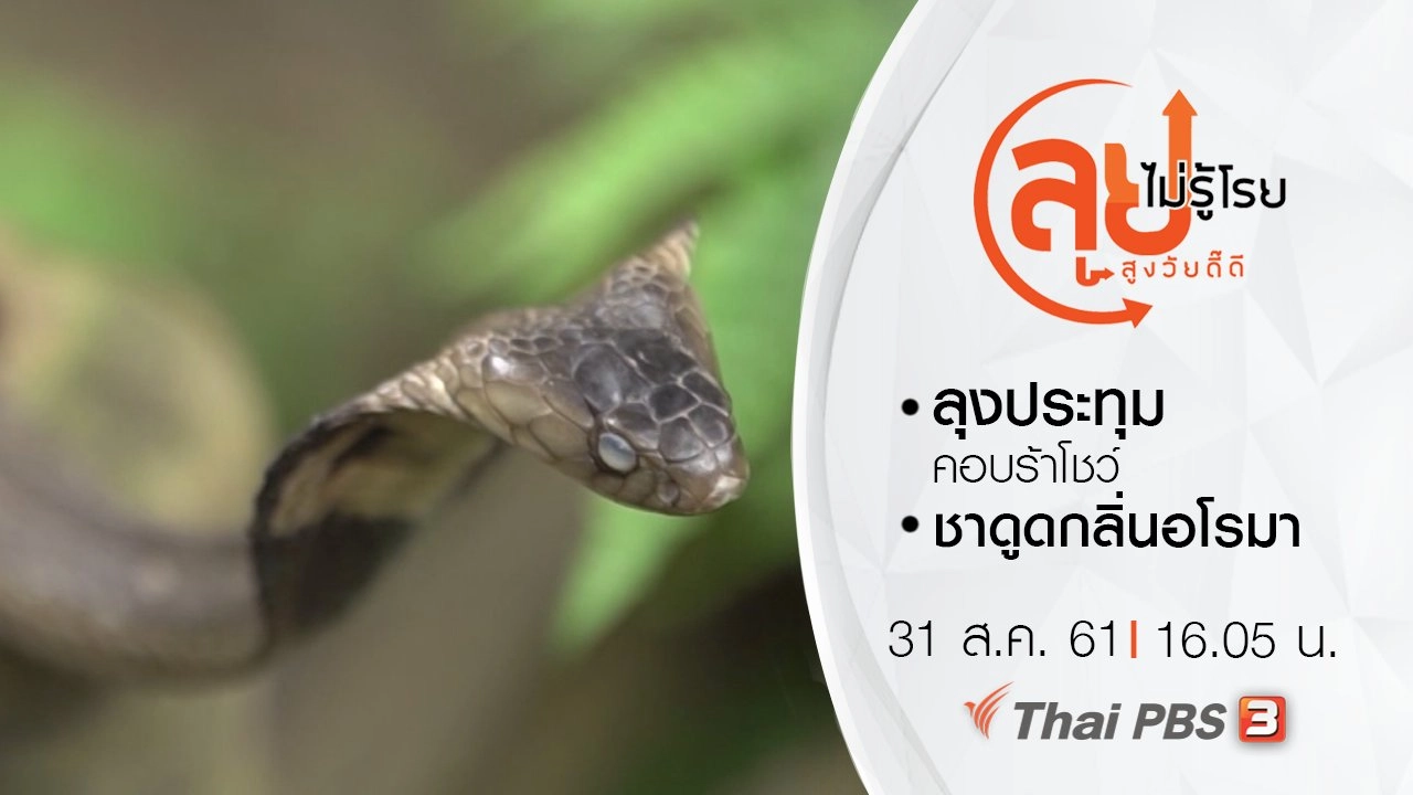 ลุงประทุม คอบร้าโชว์/ ชาดูดกลิ่นอโรมา