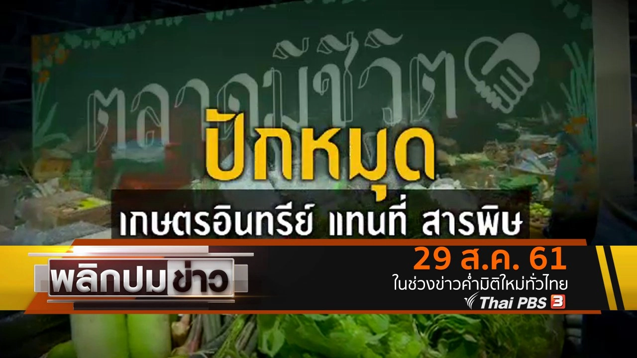 ปักหมุดเกษตรอินทรีย์ แทนที่สารพิษ
