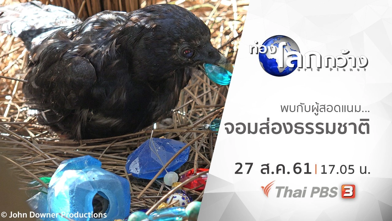 พบกับผู้สอดแนม...จอมส่องธรรมชาติ