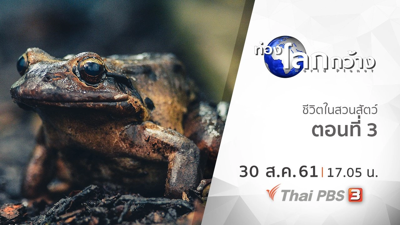 ชีวิตในสวนสัตว์ ตอนที่ 3