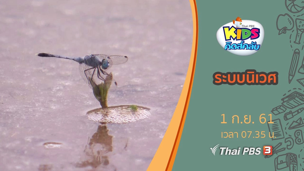 ระบบนิเวศ